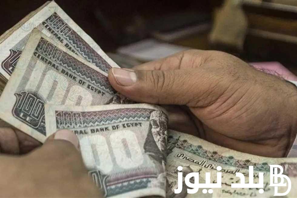 رسمياً.. مواعيد صرف المعاشات 2024 بالزيادة الأخيرة المقررة وطريقة الاستعلام عبر موقع هيئة التامينات الاجتماعية