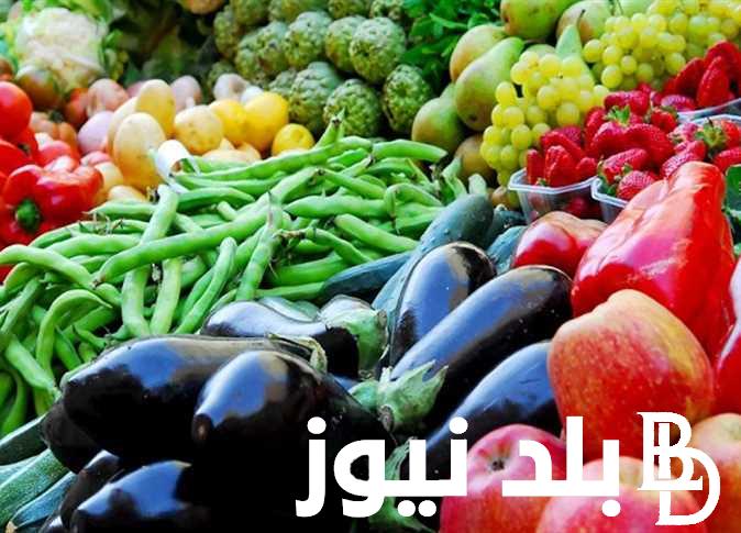 اسعار الخضار اليوم الخميس 11-7-2024 في الاسواق للتجار والمستهلكين