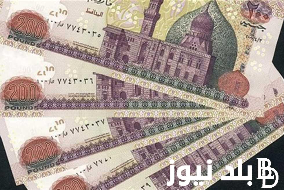 “بشري سارة للمتقاعدين”.. زيادة المعاشات شهر أغسطس 2024 طبقاً لقرار الهيئة القومية للتأمينات الاجتماعية