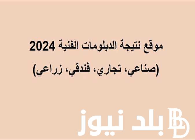 الناجح يرفع أيده .. نتيجة الدبلومات التجارية 2024 برقم الجلوس برابط مباشر رسمي .. إستعلم عنها الآن