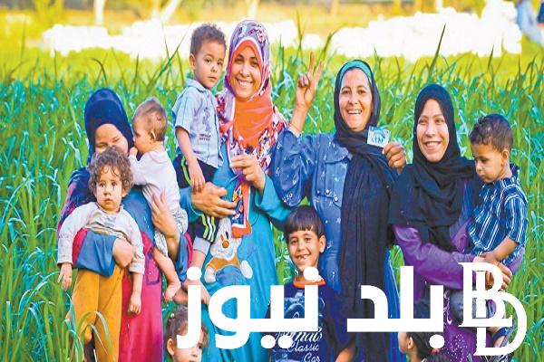 خطوة بخطوة: رابط الاستعلام عن الأسماء الجدد في تكافل وكرامة 2024 بالرقم القومي عبر tk.moss.gov.eg
