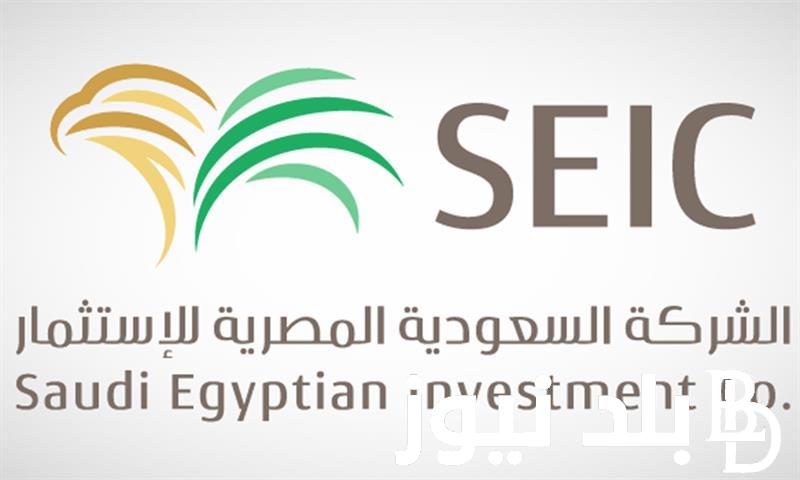 ما هو اسم الشركة المملوكة لصندوق الاستثمارات العامة بقطاع الذكاء الاصطناعي في السعودية؟