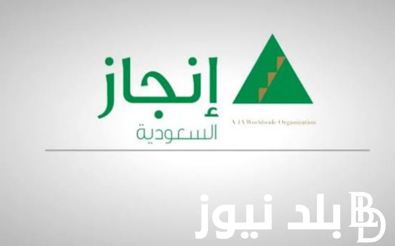 إنجاز استعلام عن تأشيرة برقم الطلب عبر منصة انجاز visa.mofa.gov.sa
