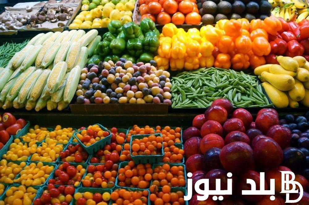 اسعار الخضروات والفاكهة اليوم الثلاثاء 23 يوليو 2024 في سوق العبور والسوق المحلي للمستهلك