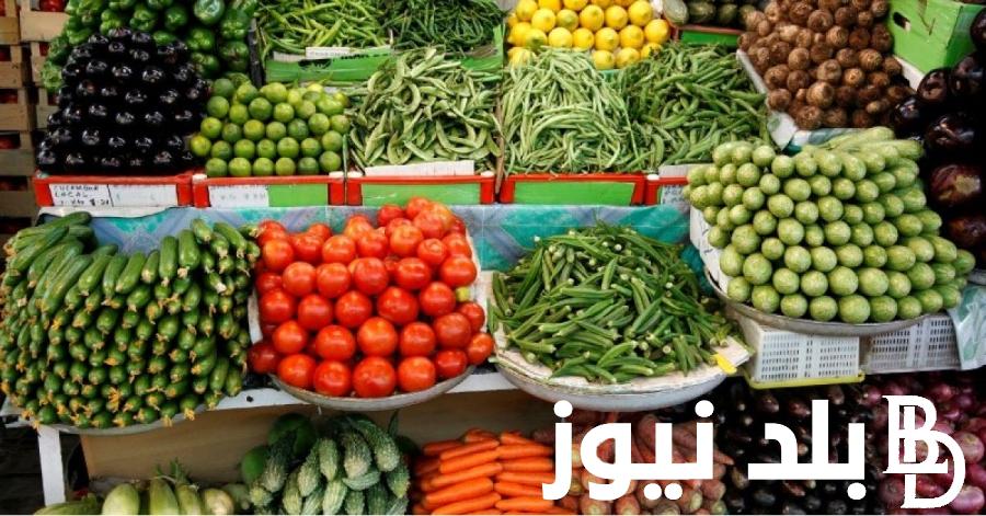 اسعار الخضار اليوم الاحد 7 يوليو 2024 في سوق العبور والسوق المحلي للمستهلك