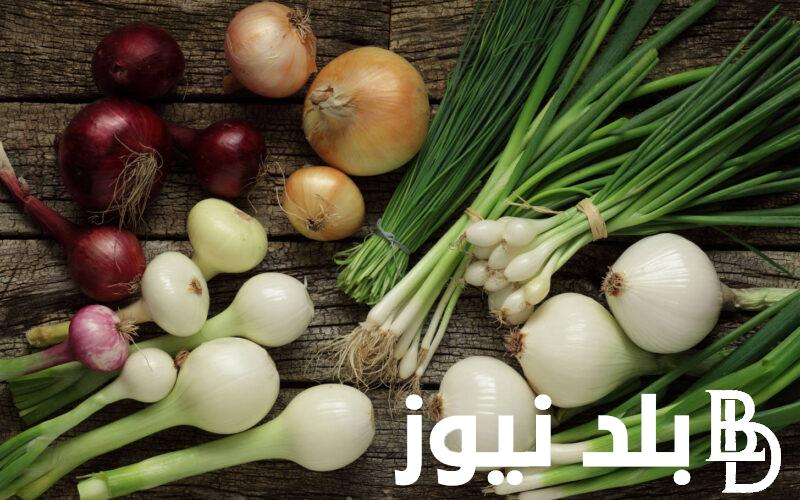 أسعار البصل الآن من اراضي الفلاحين وفي سوق العبور للجمله وباقي اصناف الخضار اليوم