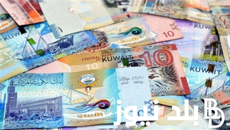 الكويتي في إرتفاع .. سعر الدينار الكويتي في البنك المركزي والسوق السوداء اليوم الخميس الموافق 18 يوليو 2024