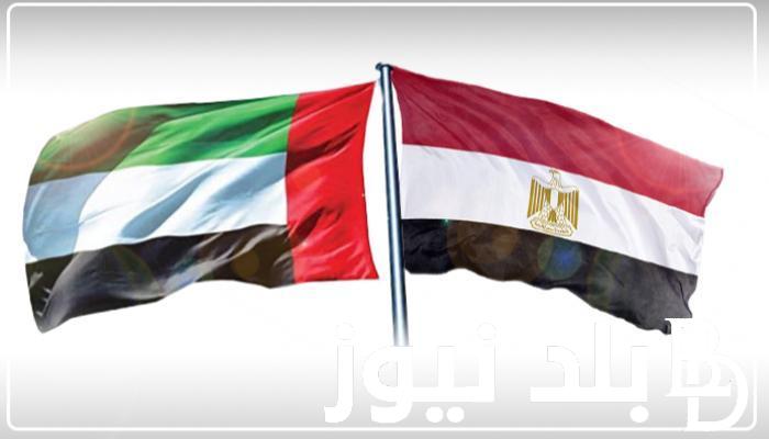 صفوت القليوبي يعلن مشروع تطوير منطقة الوراق 2024 والبلوكي يُوضح التفاصيل