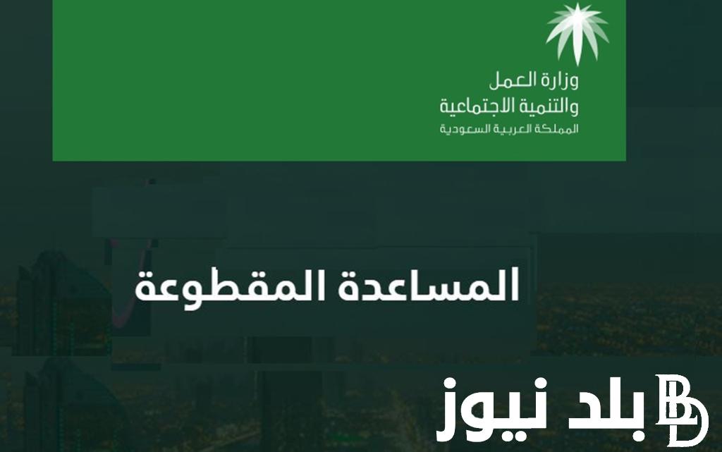 “هل يتم صرف 1000 جنيه أم لا” حقيقة تقديم موعد صرف الضمان الاجتماعي لشهر اغسطس 2024 وما هي قيمة المعاش