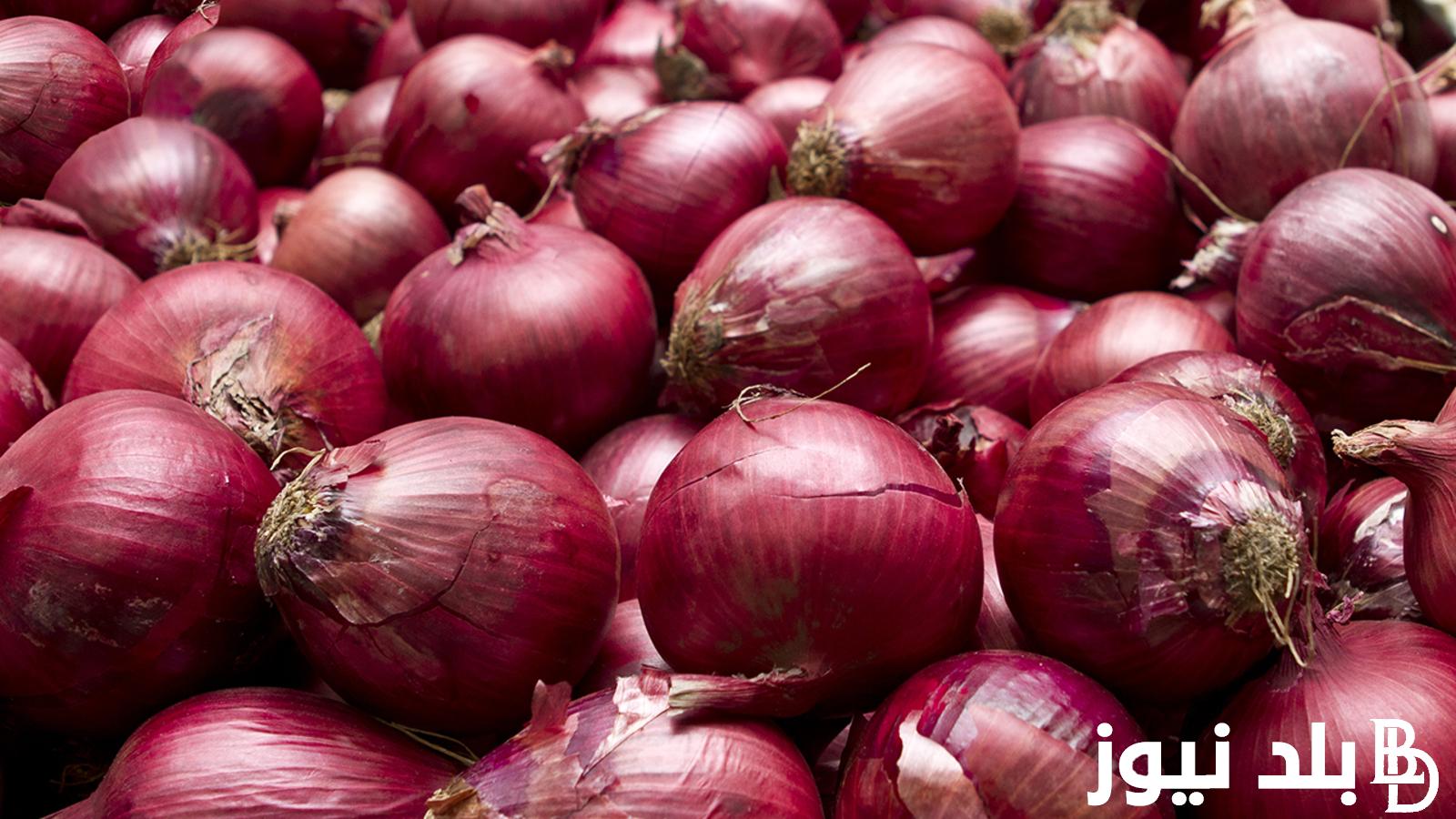 “هيزيد ولا ايه؟” سعر البصل اليوم الخميس 25 يوليو 2024 في مصر بجميع الأسواق والمحلات التجارية