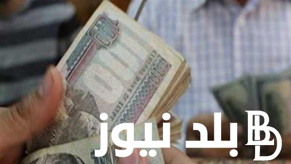 “عاااجل وهام” .. موعد صرف مكافأة الامتحانات للمعلمين ٢٠٢٤ بعد امتحانات الثانوية العامة والديبلومات الفنية