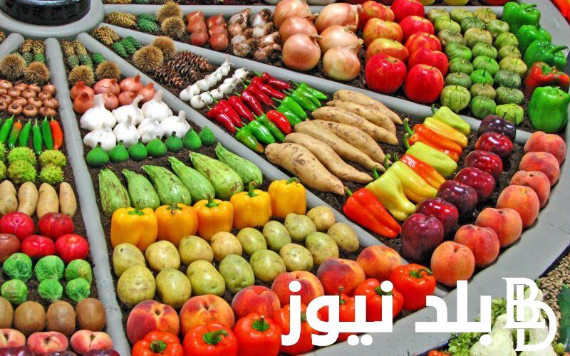 “السعر الرسمي” اسعار الخضار اليوم بسوق العبور السبت 6 يوليو 2024 للمستهلك في مصر