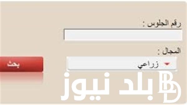 نتيجة الدبلومات الفنية 2024 برقم الجلوس علي موقع وزارة التربيه والتعليم والتعليم الفني