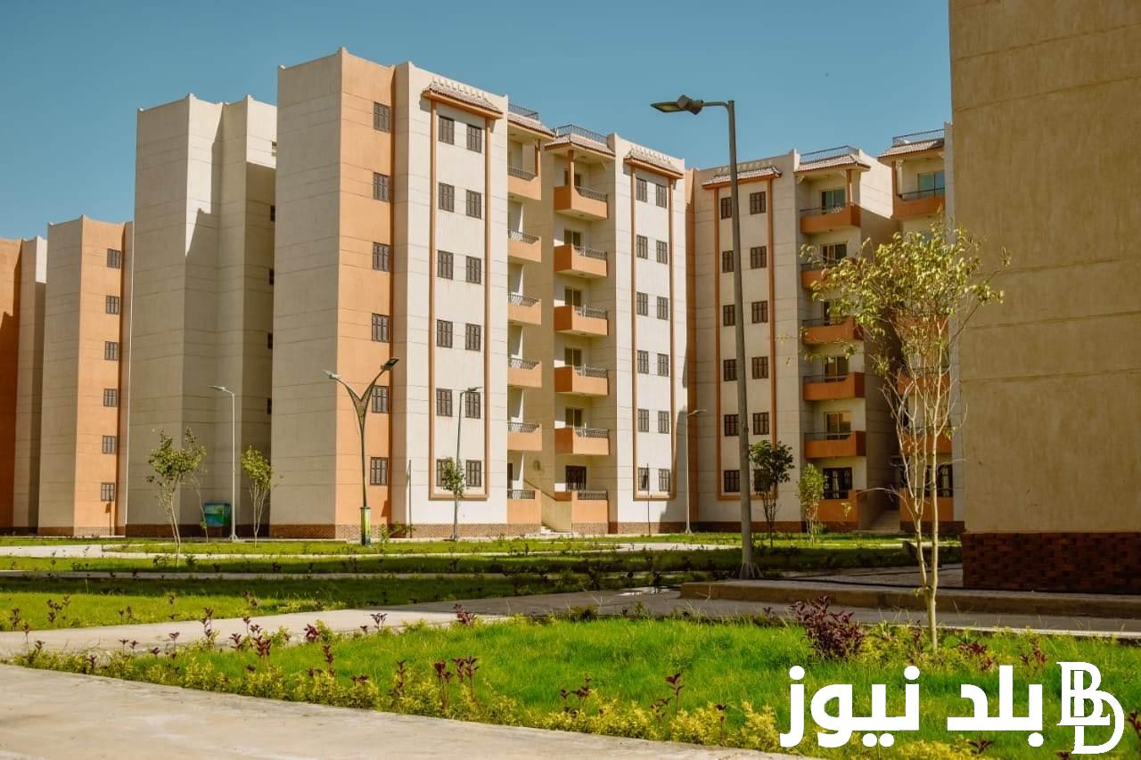 رابط الاستعلام عن شقق الإسكان الاجتماعي 2024 بالرقم القومي بالخطوات عبر cservices.shmff.gov.eg