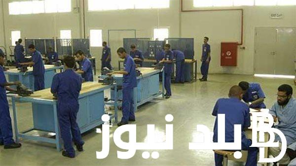 تنسيق دبلوم صنايع 2024 وفقا لوزارة التربية والتعليم والتعليم الفني