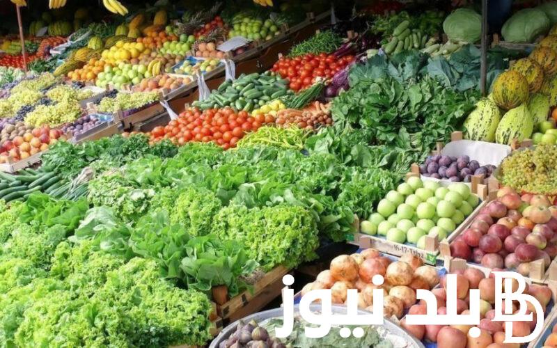 ننشُر جدول أسعار الخضار اليوم الاثنين الموافق 22 يوليو 2024 في الاسواق