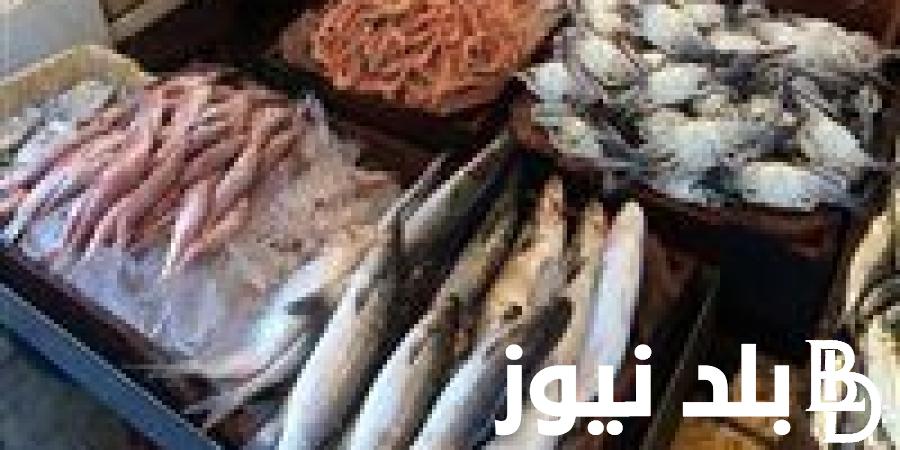 “فريش ومجمد” اسعار السمك اليوم الاحد 7-7-2024 في سوق العبور لتجارة الاسماك