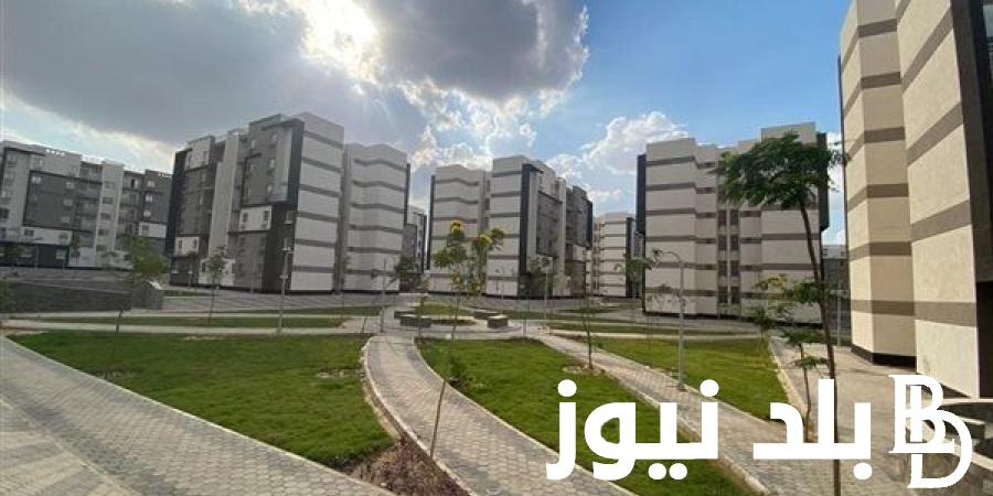 التفاصيل كاملة.. كراسة شروط مشروع لؤلؤة القاهرة الجديدة 2024 وكافة التفاصيل عن كيفية التقديم في هذا المشروع