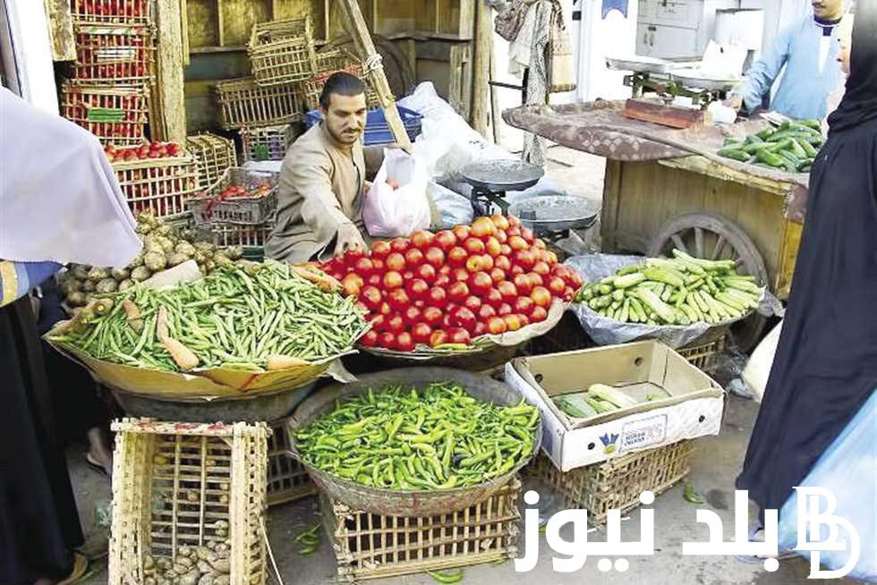 اسعار الخضار اليوم الأربعاء 24 يوليو 2024 في جميع الأسواق والمحلات التجارية للمستهلك