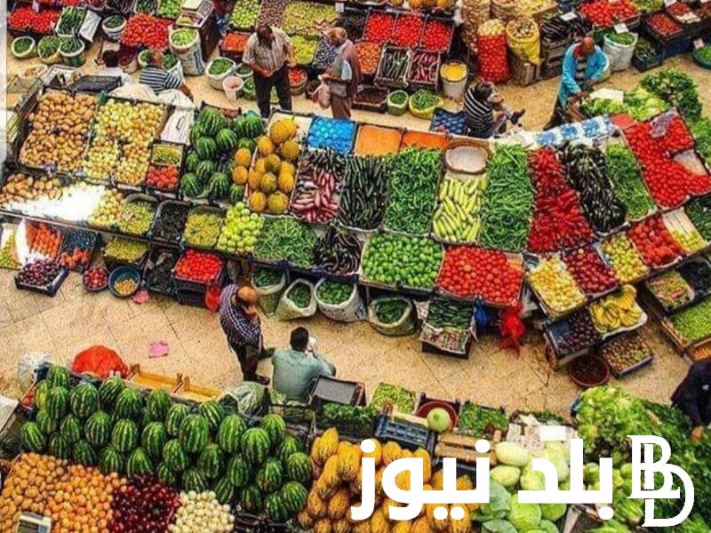 ننشُر قائمة اسعار المانجو سوق العبور اليوم السبت 27 يوليو 2024 في مصر للمستهلك