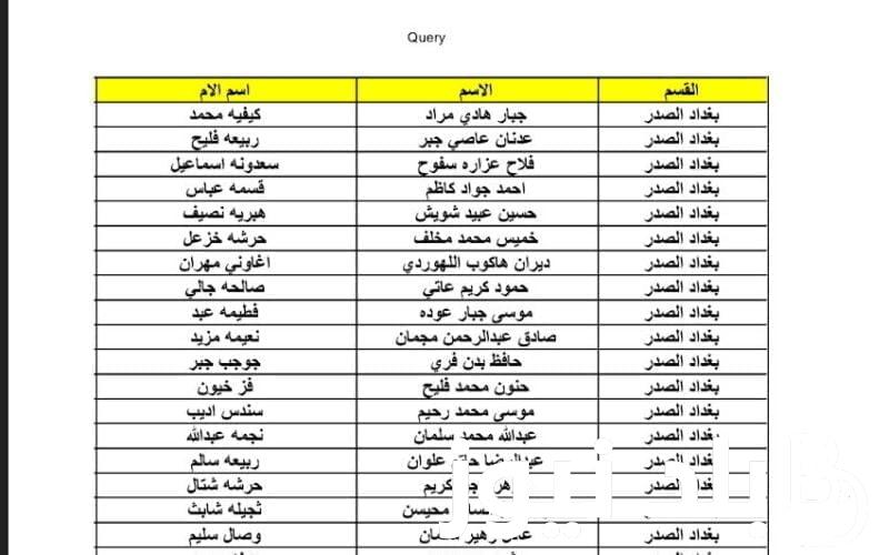 pdf الان كشوفات اسماء المشمولين فى الرعاية الاجتماعية بالعراق 2024 الوجبة الاخيرة من موقع وزارة العمل العراقية