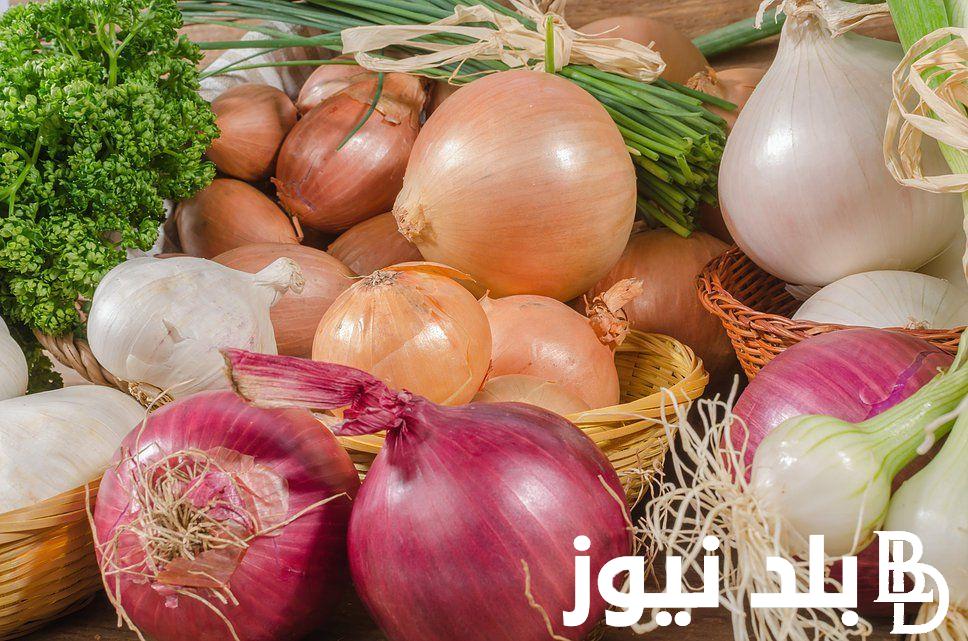 الكيلو بكام؟ سعر البصل اليوم الاربعاء 24 يوليو 2024 في سوق العبور للجمله