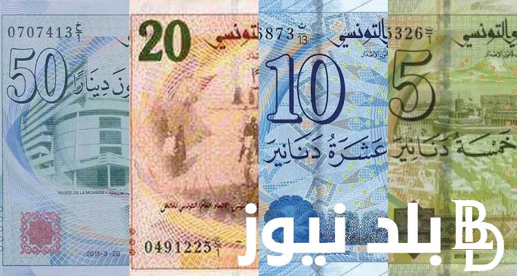 “تابع” شروط التقديم منحة 300 دينار في تونس وخطوات التسجيل في الموقع الرسمي لوزارة الشؤون الاجتماعية التونسية