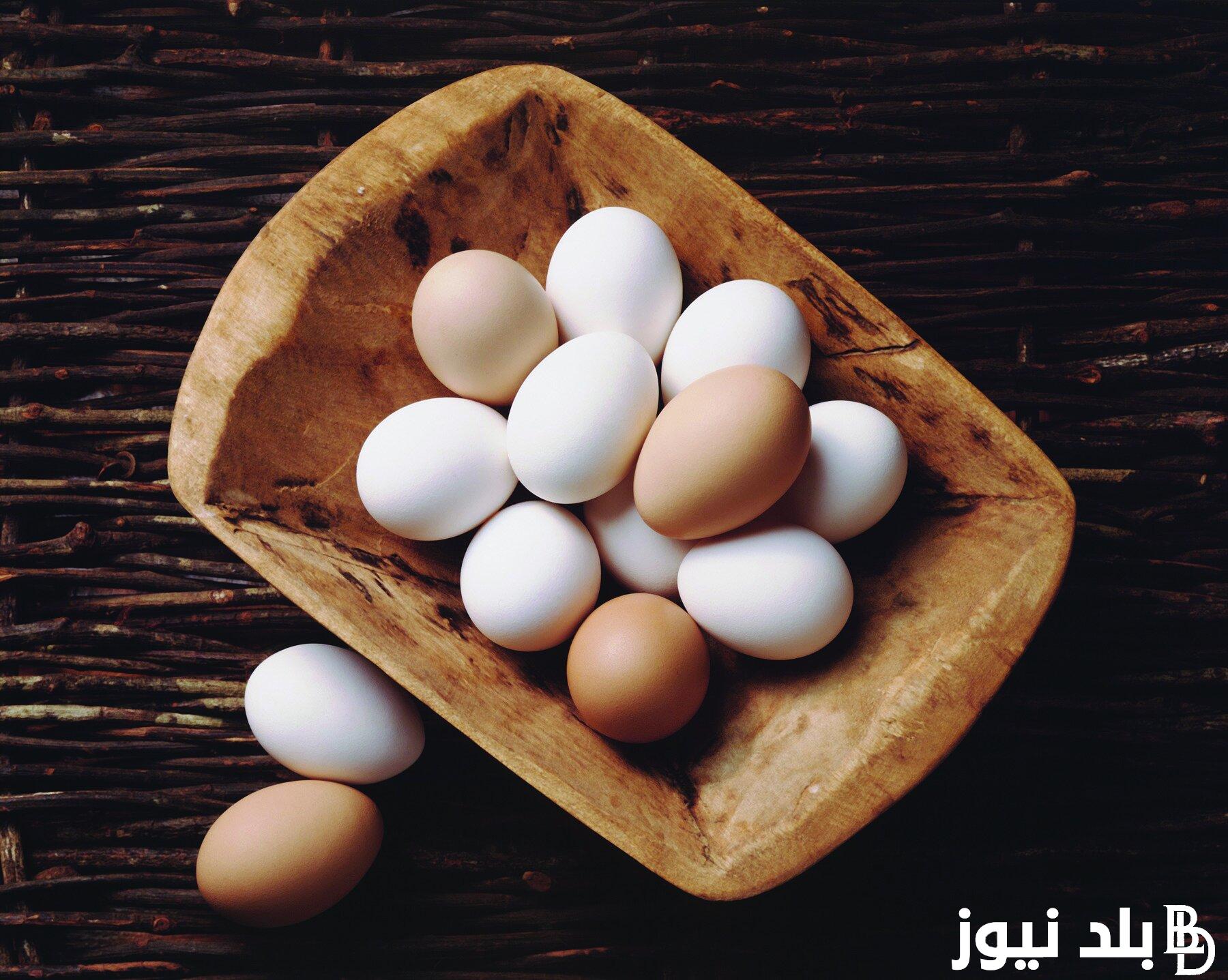 “ابيض واحمر” سعر كرتونة البيض اليوم للمستهلك بتاريخ الخميس 1 اغسطس 2024 في البورصة والاسواق