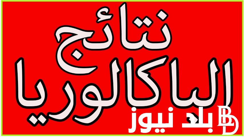 ظهرت الان.. استخراج نتائج امتحانات البكالوريا | بيان هام من وزارة التربية حول موعد نتائج البكالوريا 2024 بالجزائر في كافة الولايات