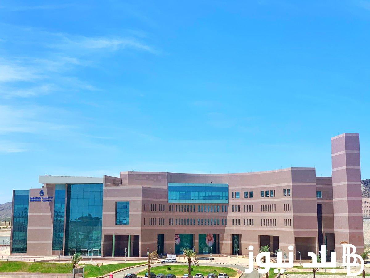 “سجل الآن” برامج الماجستير جامعة الباحة 2024 لكل التخصصات ورابط التقديم من خلال bu.edu.sa