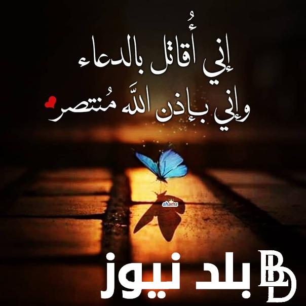 ردد أفضل دعاء لفلسطين وغزة “اللهم غزة وفلسطين في حِماك فرد كيد اليهود على أنفسهم