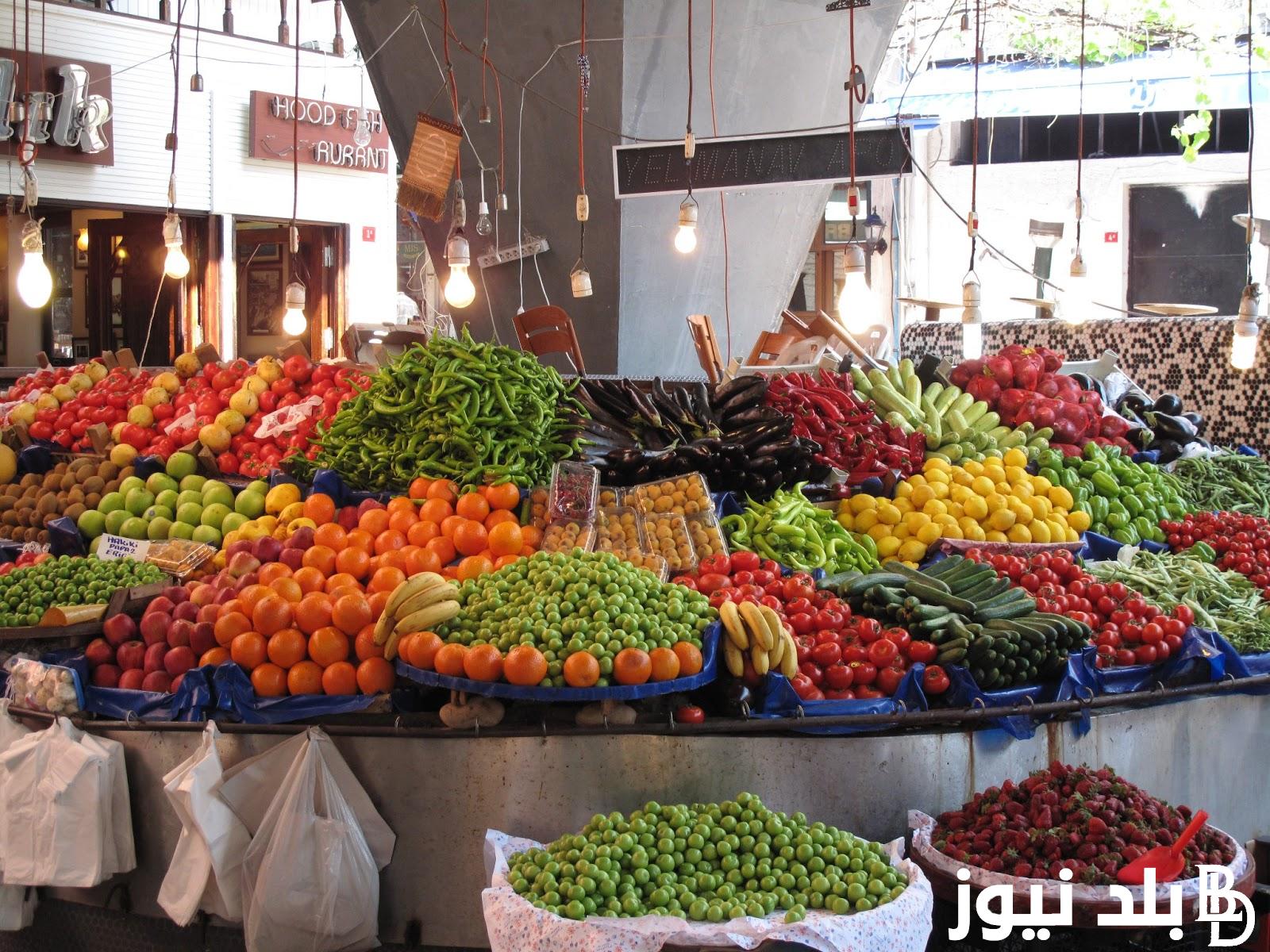 الطماطم بكام؟.. أسعار الخضار اليوم الثلاثاء 30 يوليو 2024 للمستهلك والتاجر وفق تحديث سوق العبور