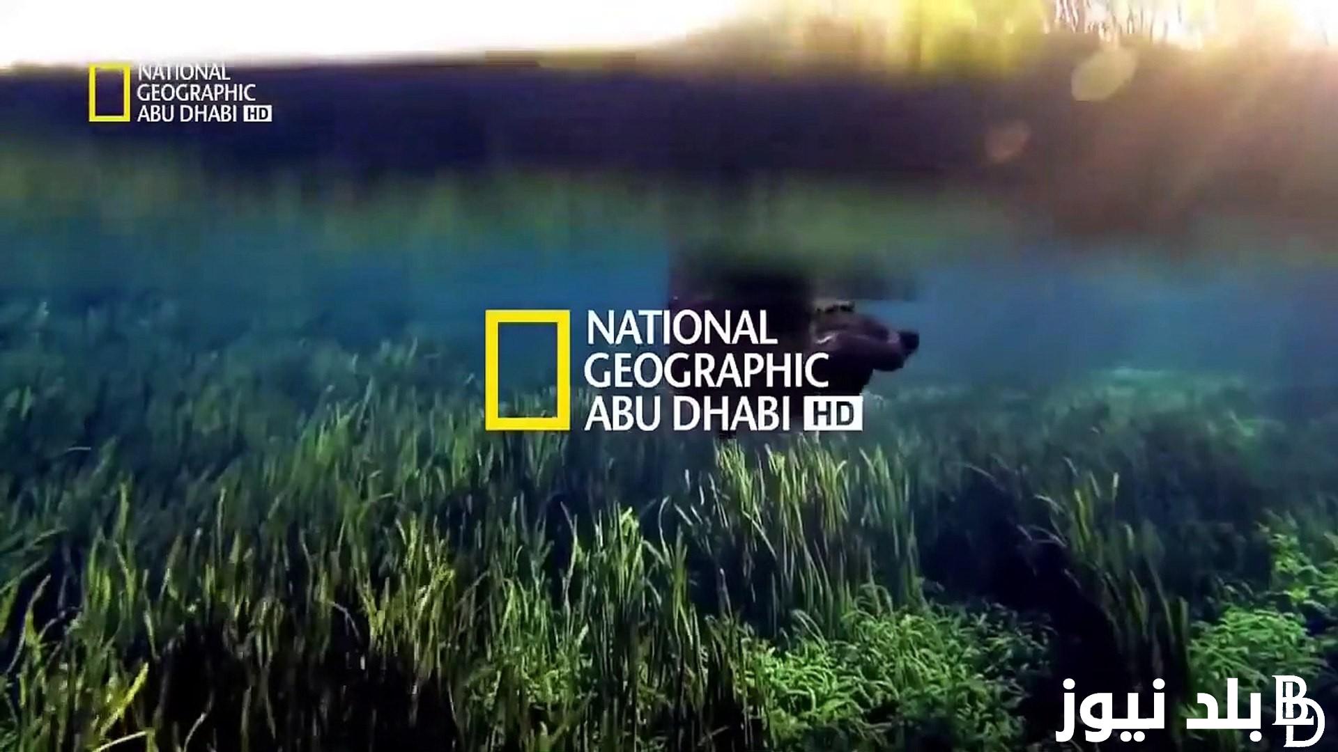 تردد قناة ناشيونال جيوغرافيك نايل سات 2024 National Geographic الناقلة لأفضل الأفلام والبرامج الثقافية عن عالم الحيوان