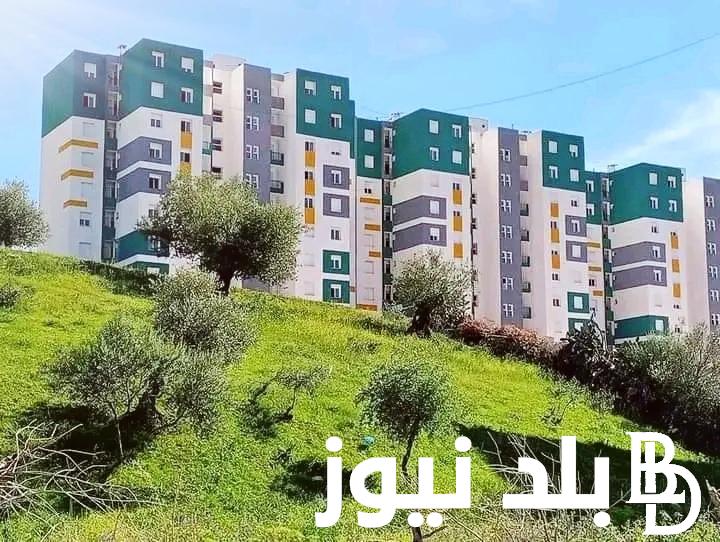 “حالا سجل” تسجيلات عدل 3 2024 عن طريق الهاتف وشروط التسجيل عبر موقع عدل الرسمي