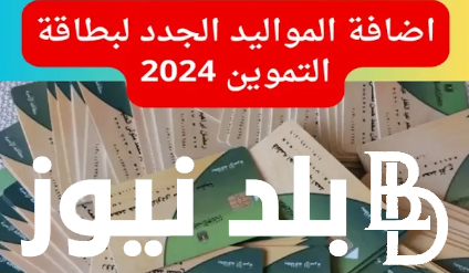 “يلا سجل عيالك” فتح باب تسجيل المواليد الجدد في بطاقات التموين 2024 والأوراق المطلوبة لإضافة المواليد