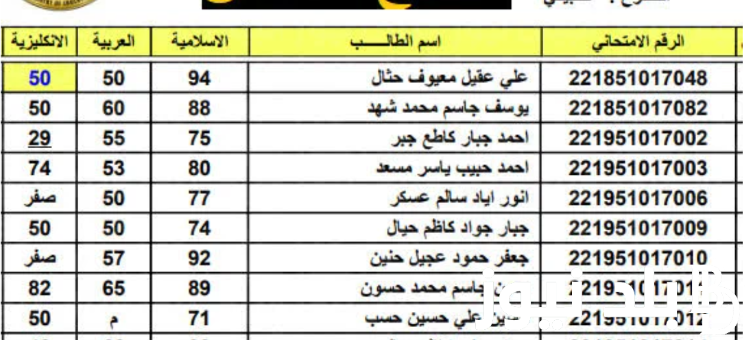 “مبروك النجاح” نتائج السادس اعدادي pdf 2024 لجميع الطلاب عبر موقع وزارة التربية والتعليم العراقية