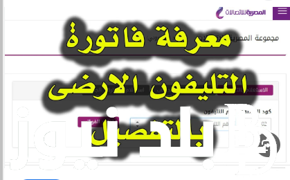 سارع بالسداد.. خطوات الاستعلام عن فواتير التليفون الأرضي بالاسم والرقم عن طريق billing.te.eg