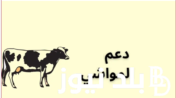خطوات استعلام عن دعم المواشي النفاذ الوطني 2024 والشروط المطلوبة للتقديم على دعم صغار مربي المواشي من وزارة البيئة