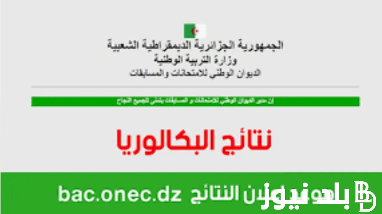 من هنا.. رابط نتائج البكالوريا سوريا 2024 في كافة المحافظات السورية وموعد اعلان النتيجة