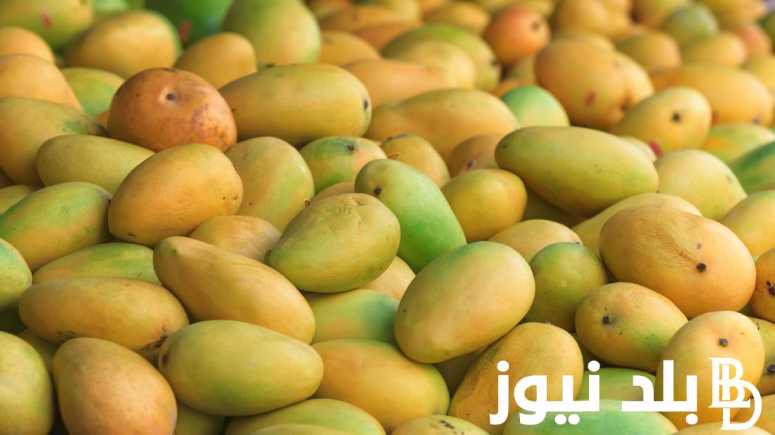 اسعار المانجو في سوق العبور اليوم الثلاثاء 30 يوليو 2024 بمصر