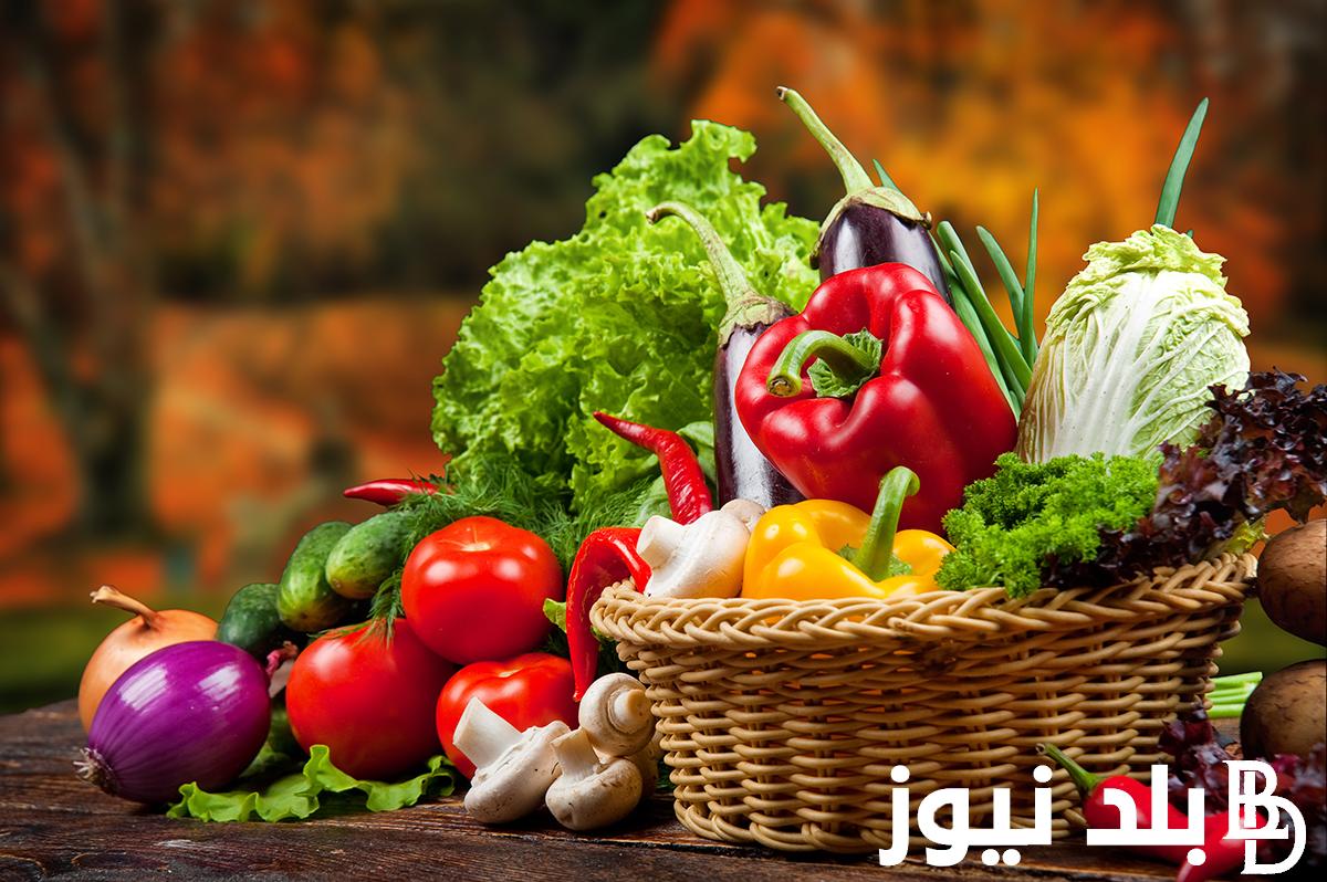 “كوسة وبنجر” قائمة اسعار الخضار اليوم الثلاثاء 9 يوليو 2024 في سوق العبور للمستهلك