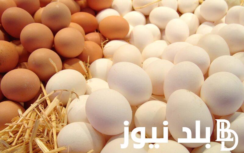 ارتفاع سعر كرتونة البيض اليوم للمستهلك الاربعاء 31-7-2024 في الاسواق للمستهلك والموزع