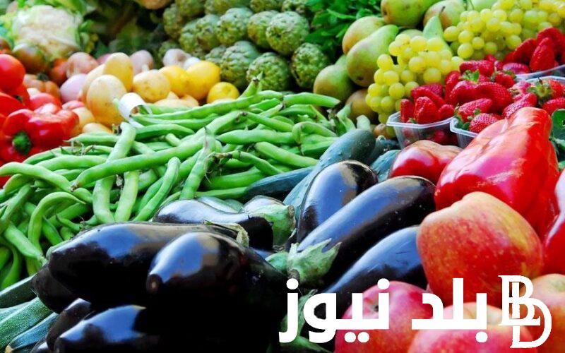 تباين في أسعار الخضار اليوم بالكيلو الثلاثاء 30-7-2024 في سوق الجملة في اكتوبر