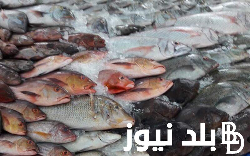 قائمة اسعار السمك اليوم الاثنين 8 يوليو 2024 والماكولات البحرية في الاسواق للمستهلك