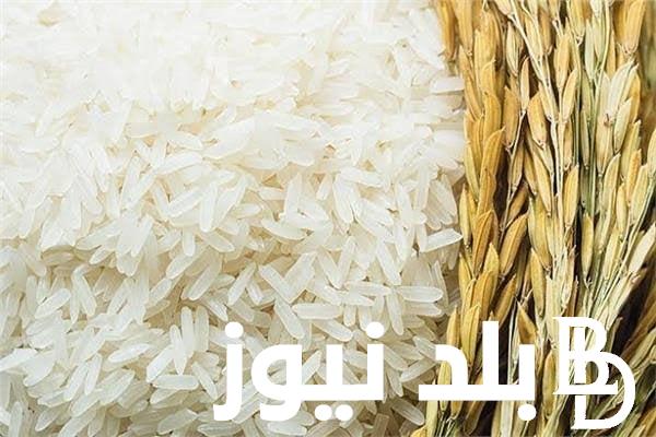 هتعملي رز بكام؟ .. .. سعر طن الأرز الشعير اليوم للمُستهلك في مصر الخميس الموافق 1 أغسطس 2024