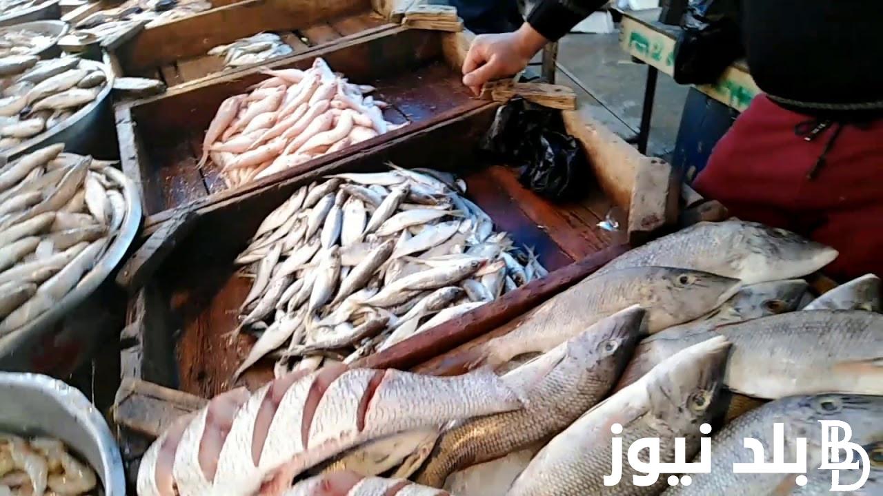 ننشُر اسعار السمك اليوم الاثنين بتاريخ 8 يوليو 2024 في سوق العبور