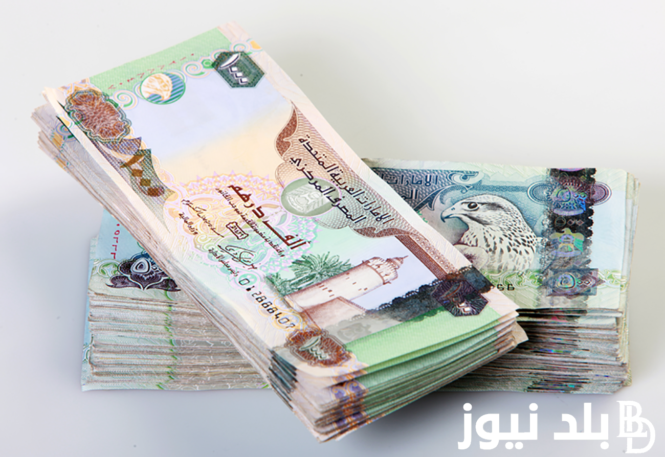 صرف 1000 درهم اماراتي كم بالجنيه المصري اليوم الثلاثاء بتاريخ 30 يوليو 2024 في السوق السوداء والبنوك