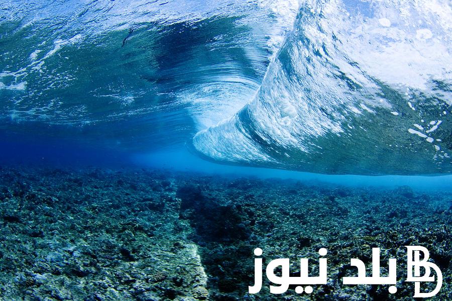 اعرف اكتشاف قارة جديدة عمرها 60 مليون عام بين كندا وجرينلاند
