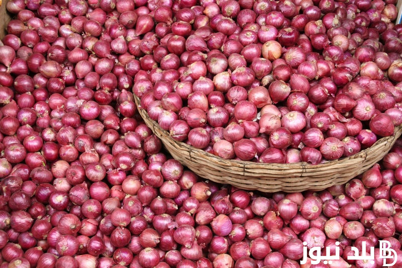 “الحقي خزني البصل” سعر البصل اليوم الأربعاء الموافق 31 يوليو 2024 للمستهلكين والتجار في سوق العبور