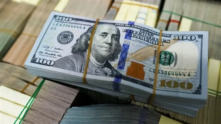 قرب من الـ 50 .. سعر الدولار اليوم في السوق السوداء مقابل الجنيه المصري في صباح يوم الثلاثاء الموافق 23 يوليو 2024